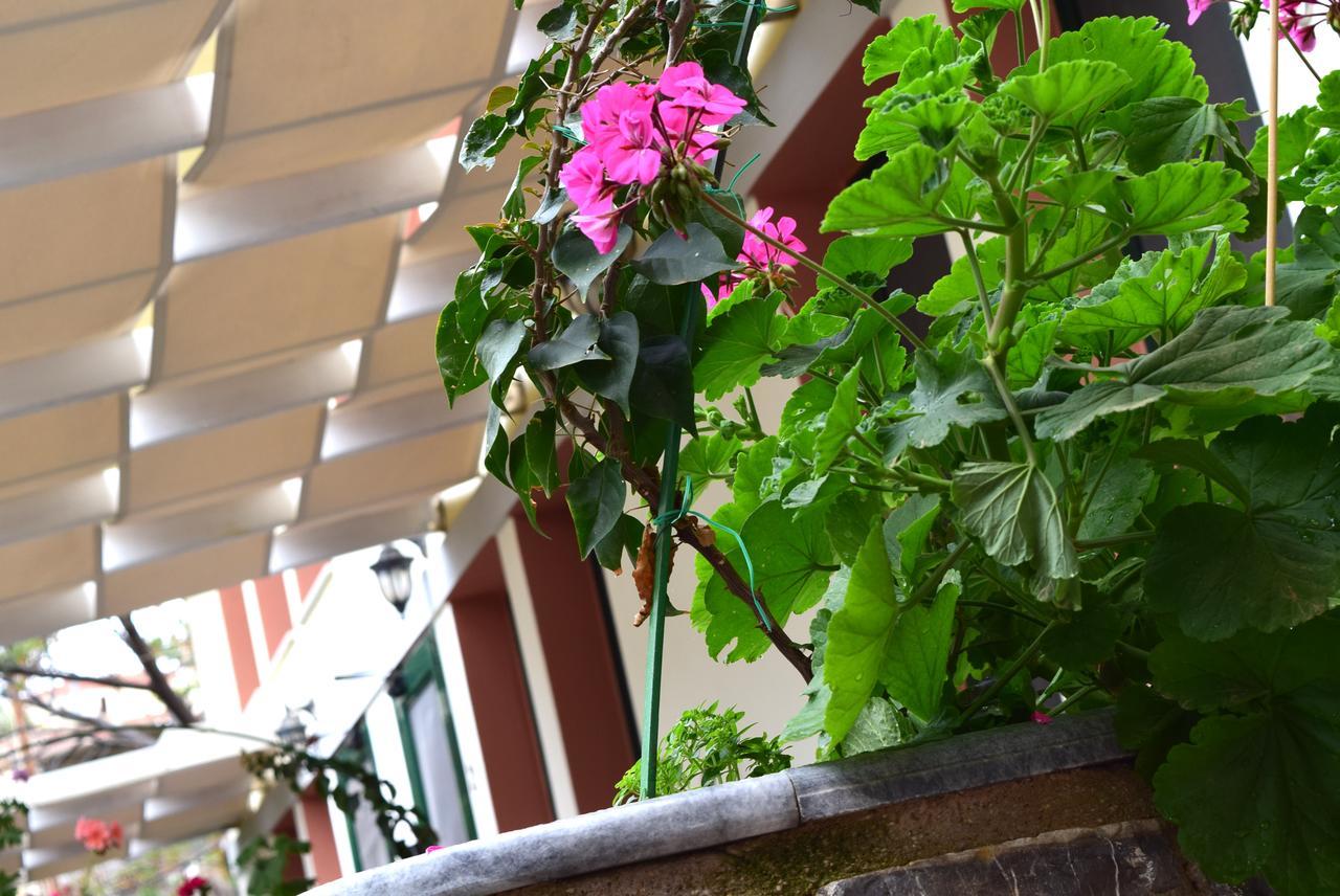 Cozy Residences In The Center Of Volissos Village - Lydia Lithos- Exterior photo