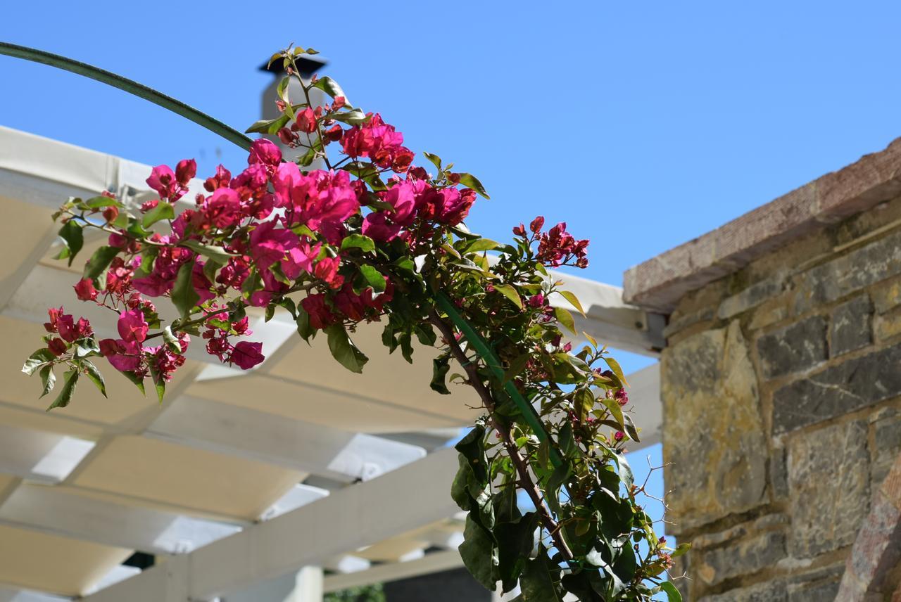 Cozy Residences In The Center Of Volissos Village - Lydia Lithos- Exterior photo